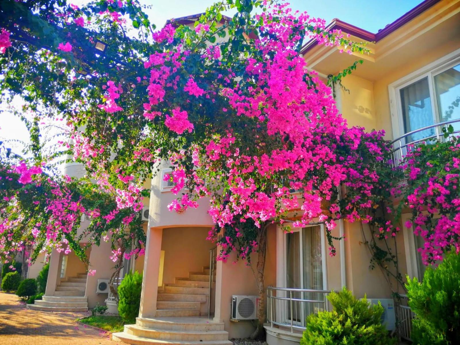 Sunset Beach Club Φετιγιέ Εξωτερικό φωτογραφία